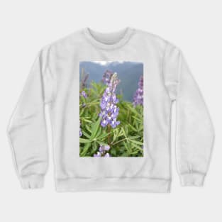 Broadleaf lupine (Lupinus latifolius) Crewneck Sweatshirt